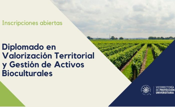 publicidad del diplomado