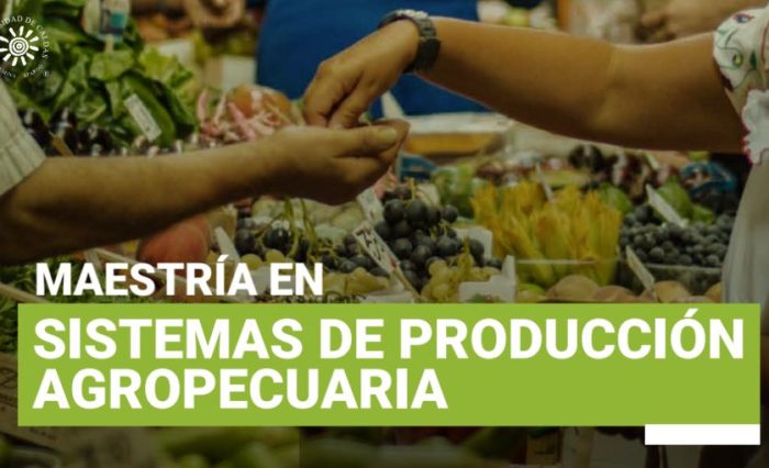 imagen promocional maestría