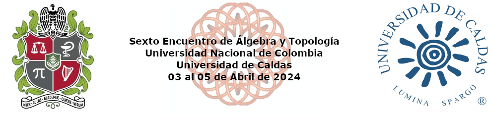 Sexto Encuentro de Álgebra y Topología
