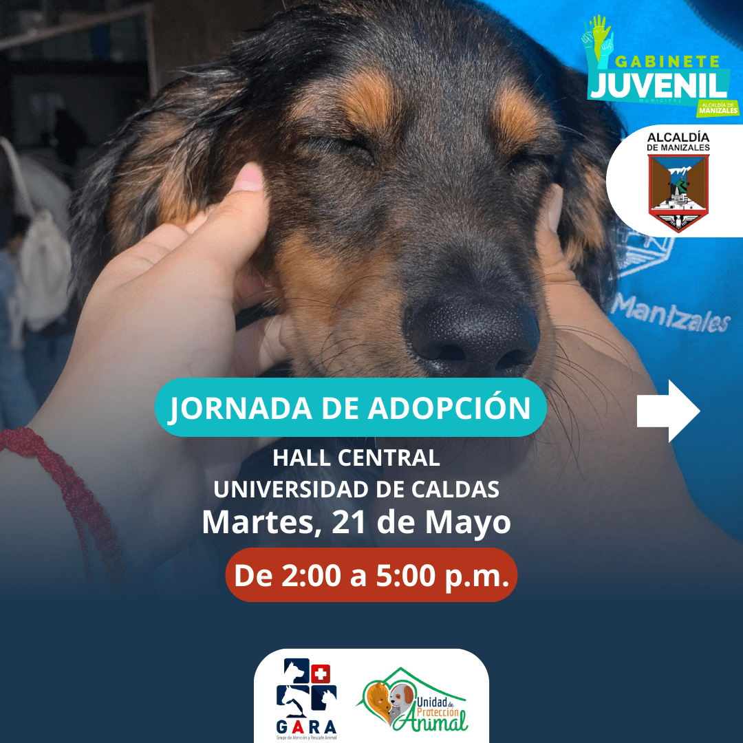 Jornada de Adopción