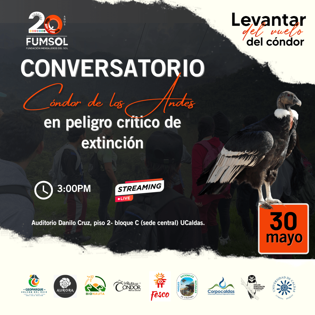 Conversatorio Cóndor de los Andes en peligro critico de extinción
