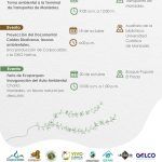 Semana Ambiental