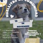 Huellitas En Comunidad