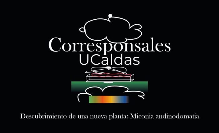 Corresponsales-03 Corresponsales