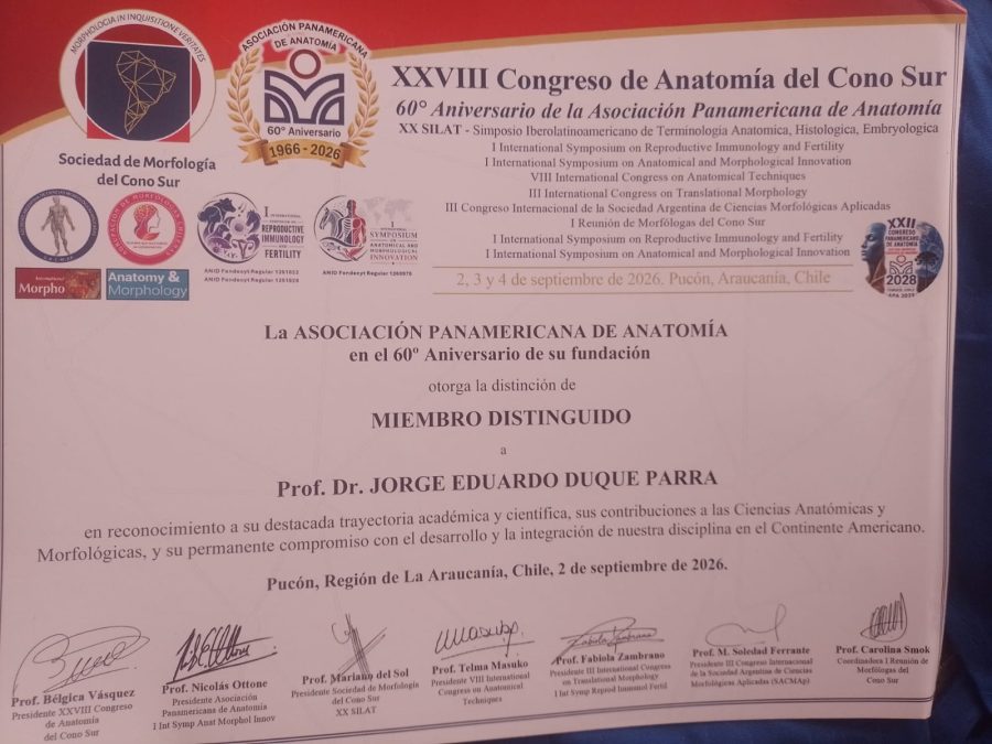 Reconocimiento Docente