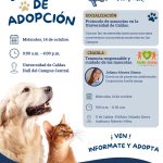 JORNADA DE ADOPCIÓN