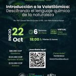 INTRODUCCIÓN A LA VOLATILÓMICA