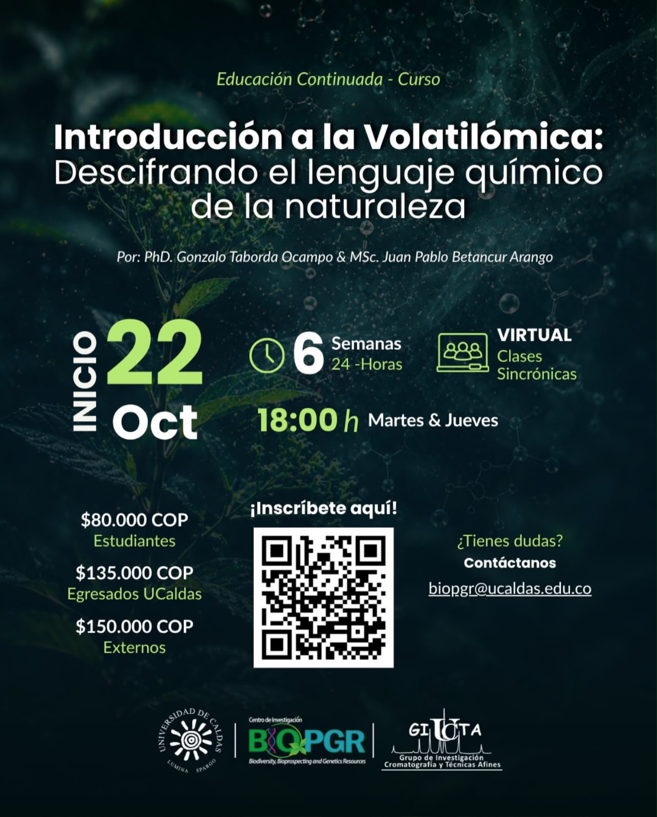 INTRODUCCIÓN A LA VOLATILÓMICA